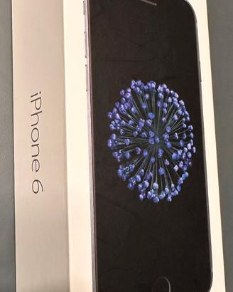 iPhone 6