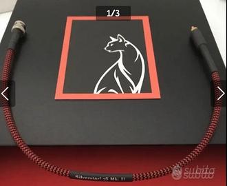 Black Cat Silverstar! 75