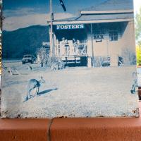 Lamierino bifacciale birra Foster's