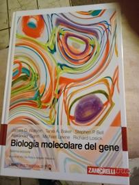 biologia molecolare del gene Zanichelli
