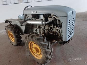 eron Meroni d25