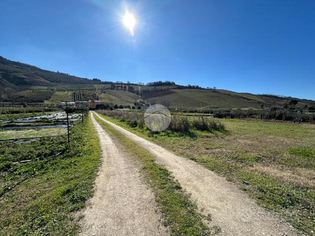 TER. AGRICOLO A RIPATRANSONE