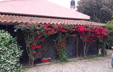 Casa campagna 