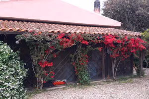 Casa campagna 