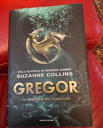 Romanzo "Gregor"