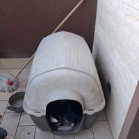 Cuccia per cani 50 euro trattabili