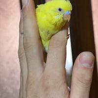 Ultimo sole disponibile