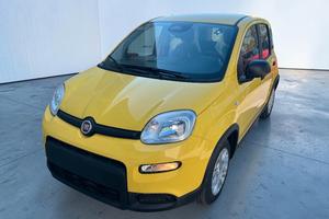 Fiat Panda Pandina 1.0 FireFly 65 CV Hybrid Pop