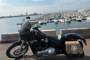 Harley davidson Softail standard
