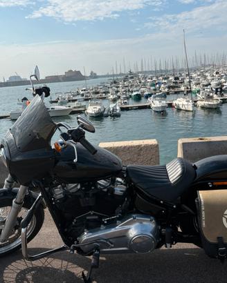 Harley davidson Softail standard
