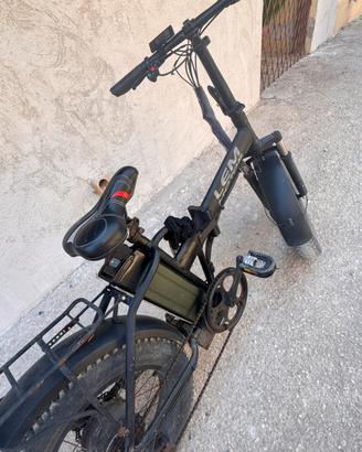 Bici lem Motor Elettrica 250W