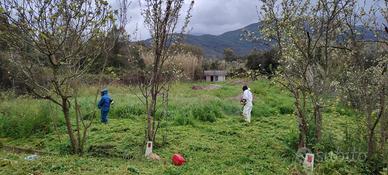 Terreno Agricolo