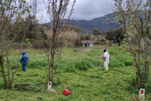 Terreno Agricolo