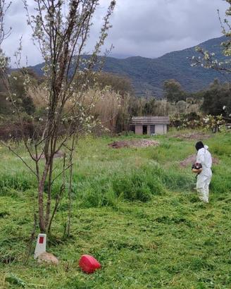 Terreno Agricolo