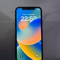 iPhone X 256 GB nero usato