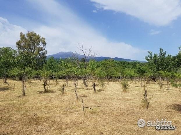 Terreno agricolo pianeggiante a Piedimonte Etneo