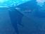 Immagine 26