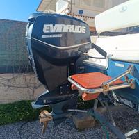 Evinrude E-Tec 115