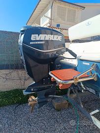 Evinrude E-Tec 115