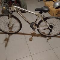 disponibile bicicletta 