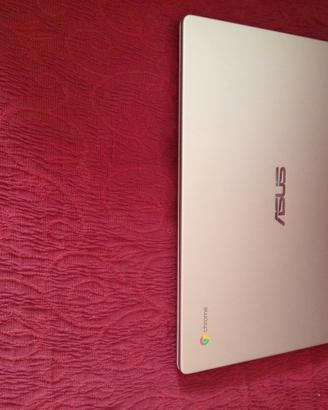 computer Asus chromebook