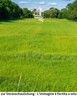 Toss (comune di Ton): Terreno edificabile