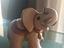 Immagine 1