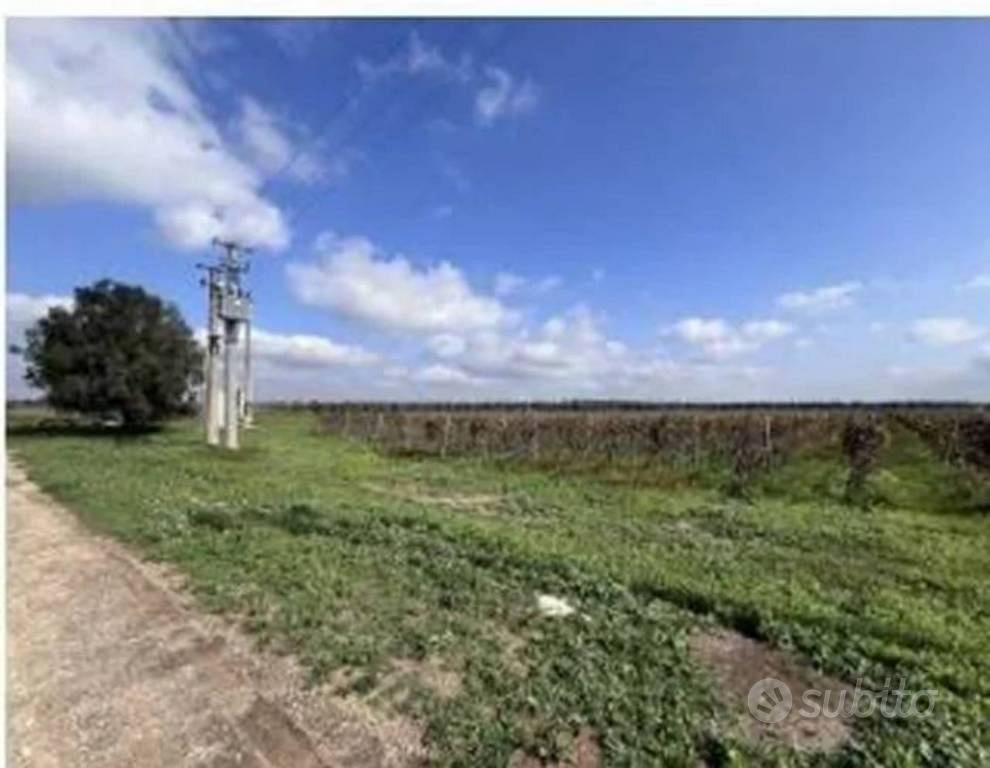 Immobile in asta di 108941 m² a San Donaci - Vista 2