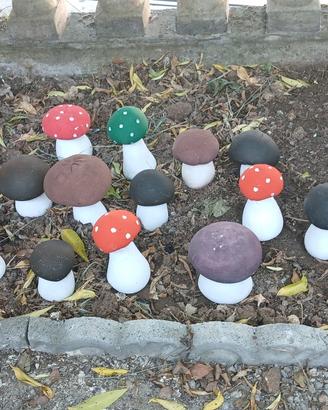 Funghi da giardino 