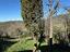 Immagine 9