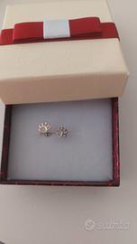 Orecchini con impronta di zampa in argento