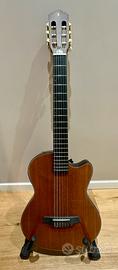 Stagg EC 3000