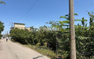 terreno agricolo