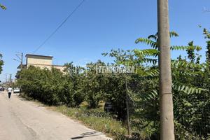 terreno agricolo