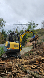 Escavatore Wacher Neuson Ez28