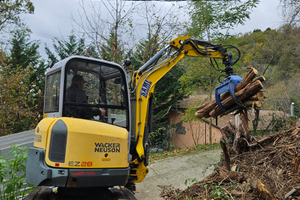 Escavatore Wacher Neuson Ez28