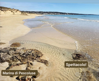 Casa Verdi Pescoluse a 100 metri dal mare