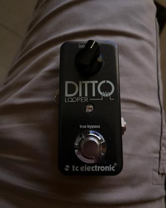 Pedalino Tc electronics Ditto Looper