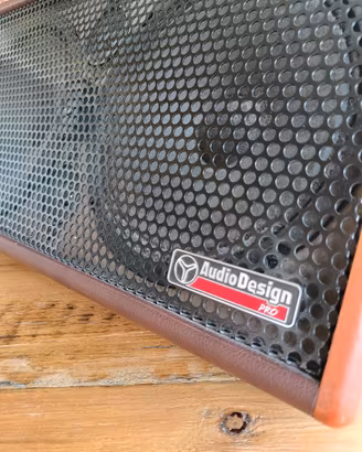 Amplificatore cassa bluetooth per chitarra e voce