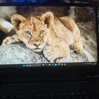 portatile gaming Victus 15