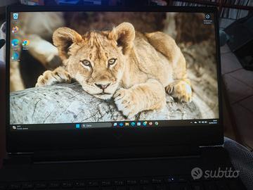 portatile gaming Victus 15