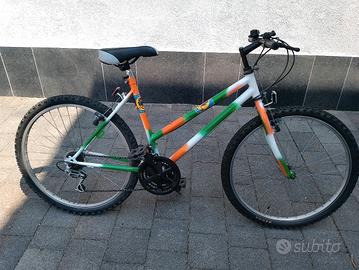 Mountain bike 