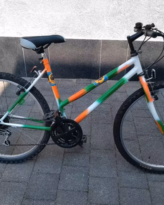 Mountain bike 