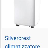 condizionatore portatile