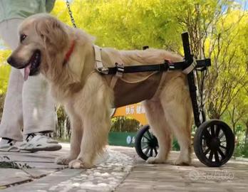 carrellino per cane