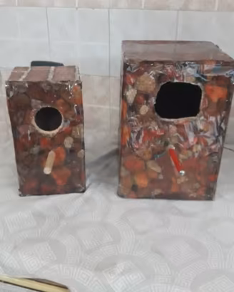 nidi x pappagalli 
