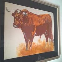 Quadro di Roberto Montanari - Il Toro