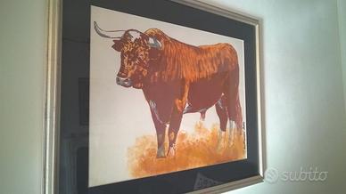 Quadro di Roberto Montanari - Il Toro