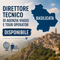 Direttore tecnico di agenzia viaggi e tour op