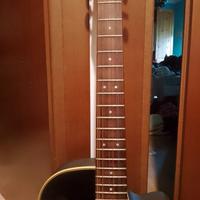 Chitarra 12 corde